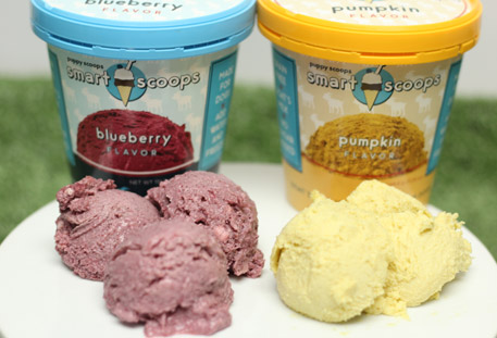 scoop ice cream wholesale