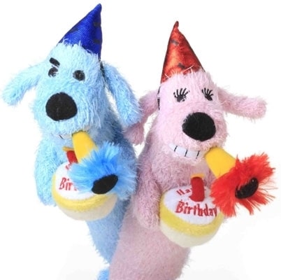 Happy Birthday Loofa Dog 12" with Squeaker - Pink or Blue 