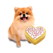 Puppy Love Cake Kit with Cupid's Blend Pupfetti Sprinkles - LOVEKIT